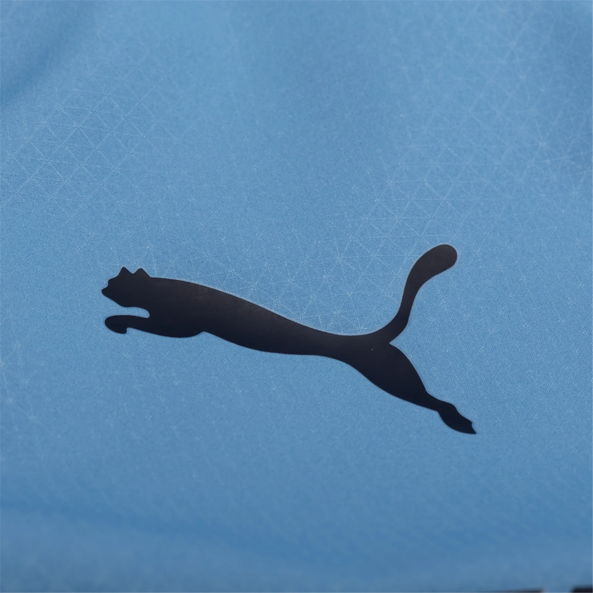 Puma Manchester City Authentic Stones Home Jersey w/ EPL + No Room For Racism Patches 25/26 (Team Light Blue/White)
